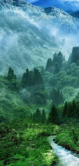 Stunning green mountain landscape with mist.