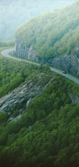 A winding road through lush green mountains for a mobile wallpaper.