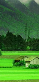 Lush green landscape with mountains and rustic cabins in a serene setting.