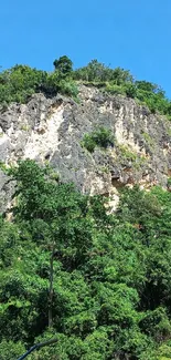 A lush green mountain landscape under a clear blue sky.