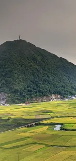 A lush green mountain landscape with a scenic view of fields.