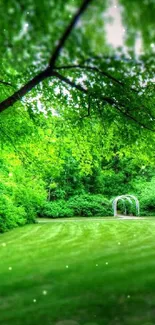 Peaceful park landscape with archway and lush green trees.