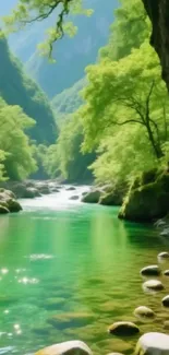 Serene river valley with lush greenery and sparkling water.