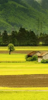 Serene green landscape with barns and lush fields.