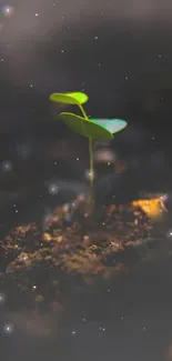 Vibrant green sprout emerging from dark soil.