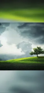 Lone tree on a vibrant green hill under dramatic clouds.