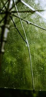 Transparent umbrella with raindrops in a green, serene setting.