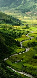 Lush green valley with a winding river and terraced hills.