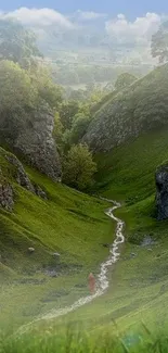 Scenic mobile wallpaper of a green valley with a tranquil winding path.