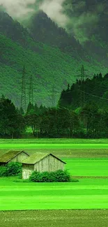 Green valley with cabins and misty mountains wallpaper.