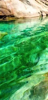 Serene green stream reflecting sunlight with rocky shore.