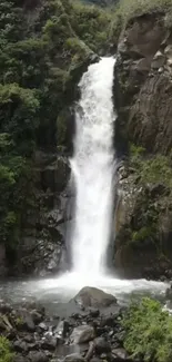 Waterfall surrounded by lush green foliage.