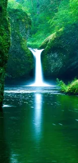 A calm green waterfall flowing through lush greenery.