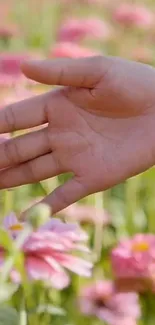 Hand gracefully touching pink flowers in a lush field.