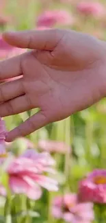 Hand gently touching pink flowers in a lush garden setting.