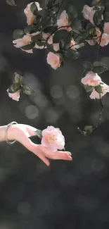 Hand reaching towards soft pink flowers on a blurred green background.