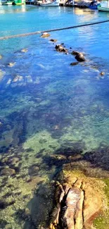 Serene harbor view with blue water and rocks.