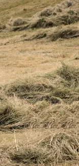 Serene field with hay stacks and earthy tones for phone wallpaper.