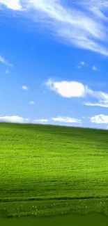 Green hillside under a bright blue sky with white clouds wallpaper.