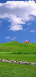 Green hillside with sheep and house under a blue sky.