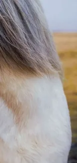 Close-up of a grazing horse in a serene landscape.