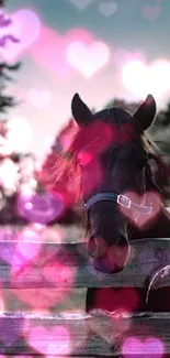 A serene black horse by a fence in a forest setting, captured at dawn.