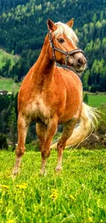 A horse stands majestically in a lush green valley with scattered houses.