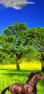 Vibrant wallpaper of a horse running in a green field under a blue sky.