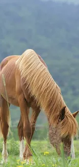 Serene horse grazing in a lush meadow with mountains in the background.