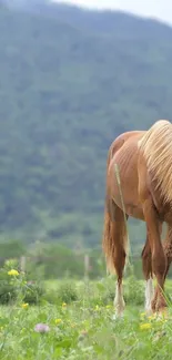 Brown horse grazing in a lush green meadow with mountain view.