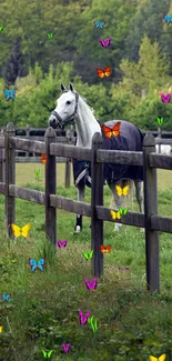 White horse grazing in a green pasture, surrounded by wooden fences and trees.