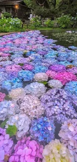 Vibrant hydrangeas floating in a serene pond.