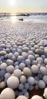 Beach with ice eggs under a sunny sky.