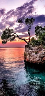 Serene sunset over island with trees and calm waters, perfect for a peaceful wallpaper.