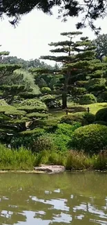 Tranquil Japanese garden with lush greenery and a serene landscape reflection.