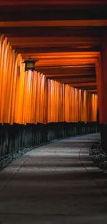 Serene Japanese torii path in vibrant orange hues.