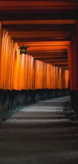 A serene pathway through vibrant orange torii gates, creating a peaceful ambiance.