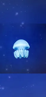 A serene jellyfish floating in a deep blue ocean background wallpaper.