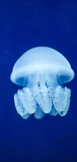 Blue jellyfish glows serenely underwater on a mobile wallpaper.