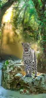 Leopard on rock in sunlit jungle with waterfall.