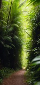 Serene jungle path wallpaper with lush green foliage.