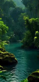 Serene jungle river with lush greenery and calm waters.