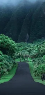 Jungle road with misty mountain backdrop and lush greenery.