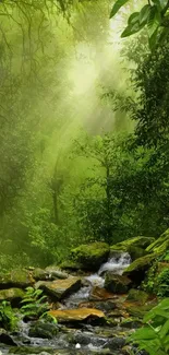 Serene jungle stream with lush greenery and sunlight filtering through trees.