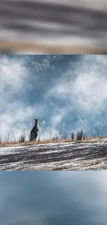 Kangaroo standing in a misty field, creating a serene natural scene.