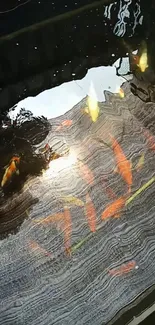 Mobile wallpaper with koi fish and water reflections.