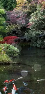 Serene koi pond with colorful fish and autumn foliage.