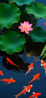 Koi fish and lotus flower in tranquil pond.