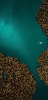 Aerial view of serene lake with boat and brown foliage.