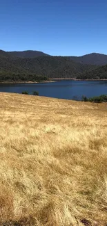 Golden fields and serene lake under blue sky with mountains.